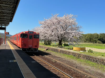 列車日和
